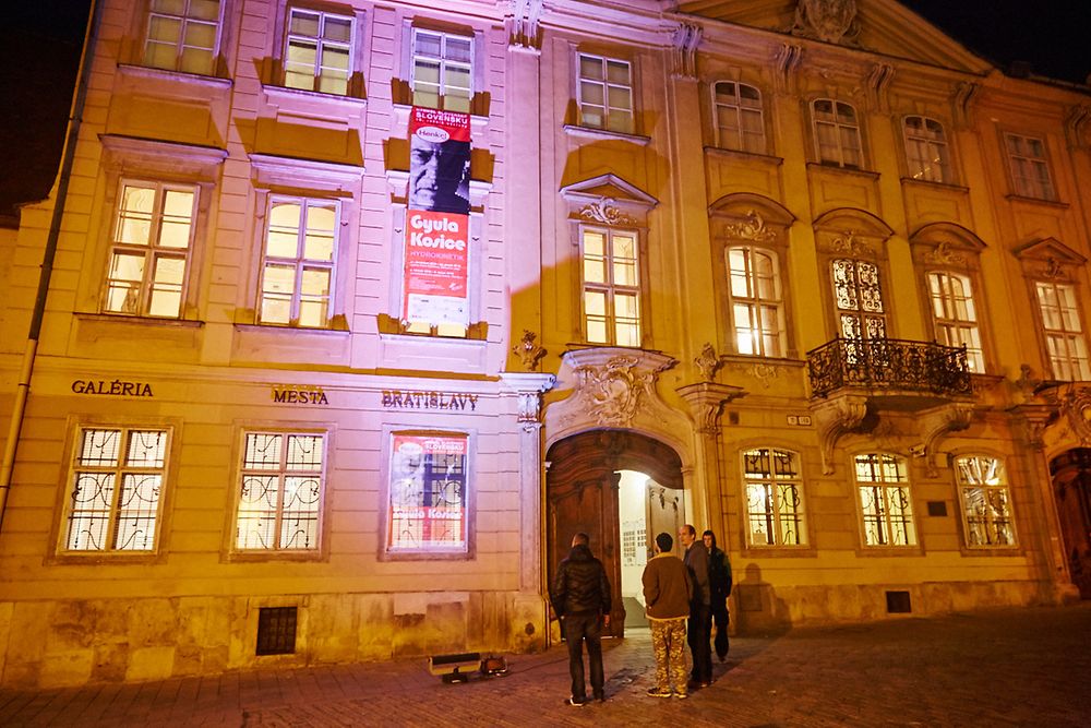 Vstup na výstavu v Galérii mesta Bratislavy, v Mirbachovom paláci