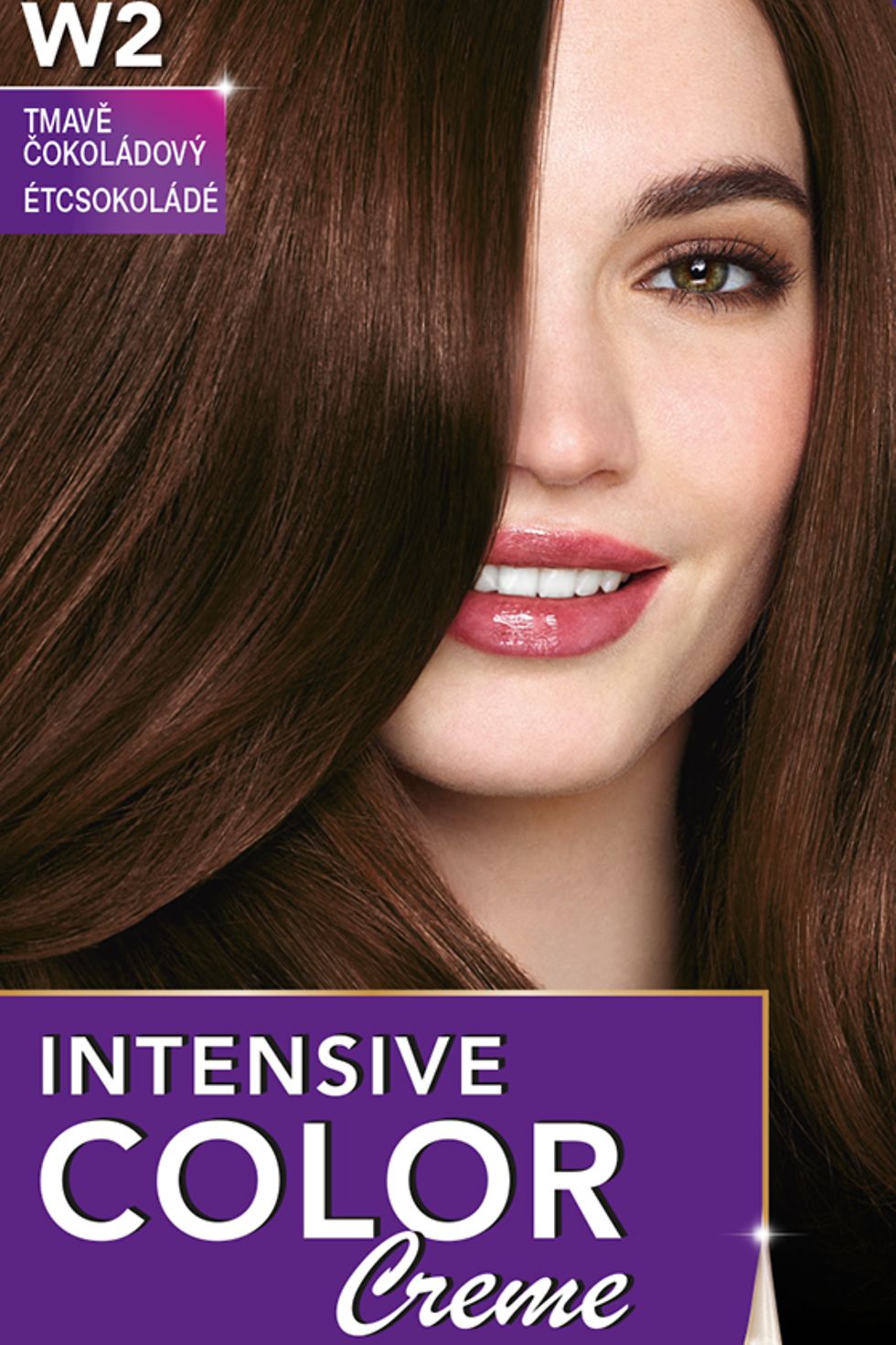 Farba na vlasy Palette Intensive Color Creme W2 Tmavá čokoláda