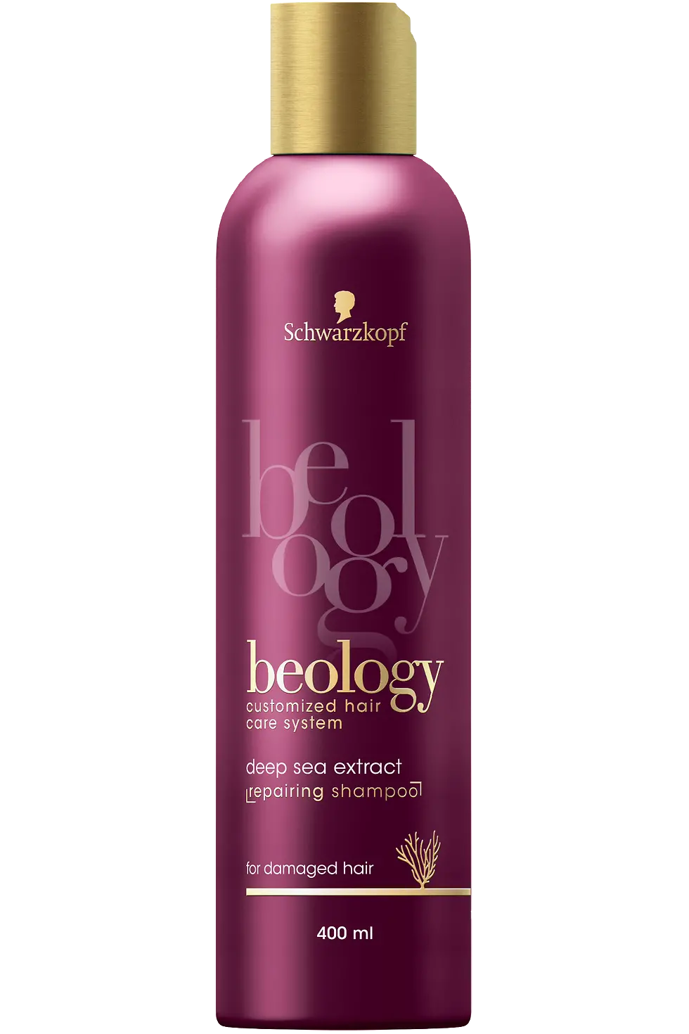 beology Repair šampón