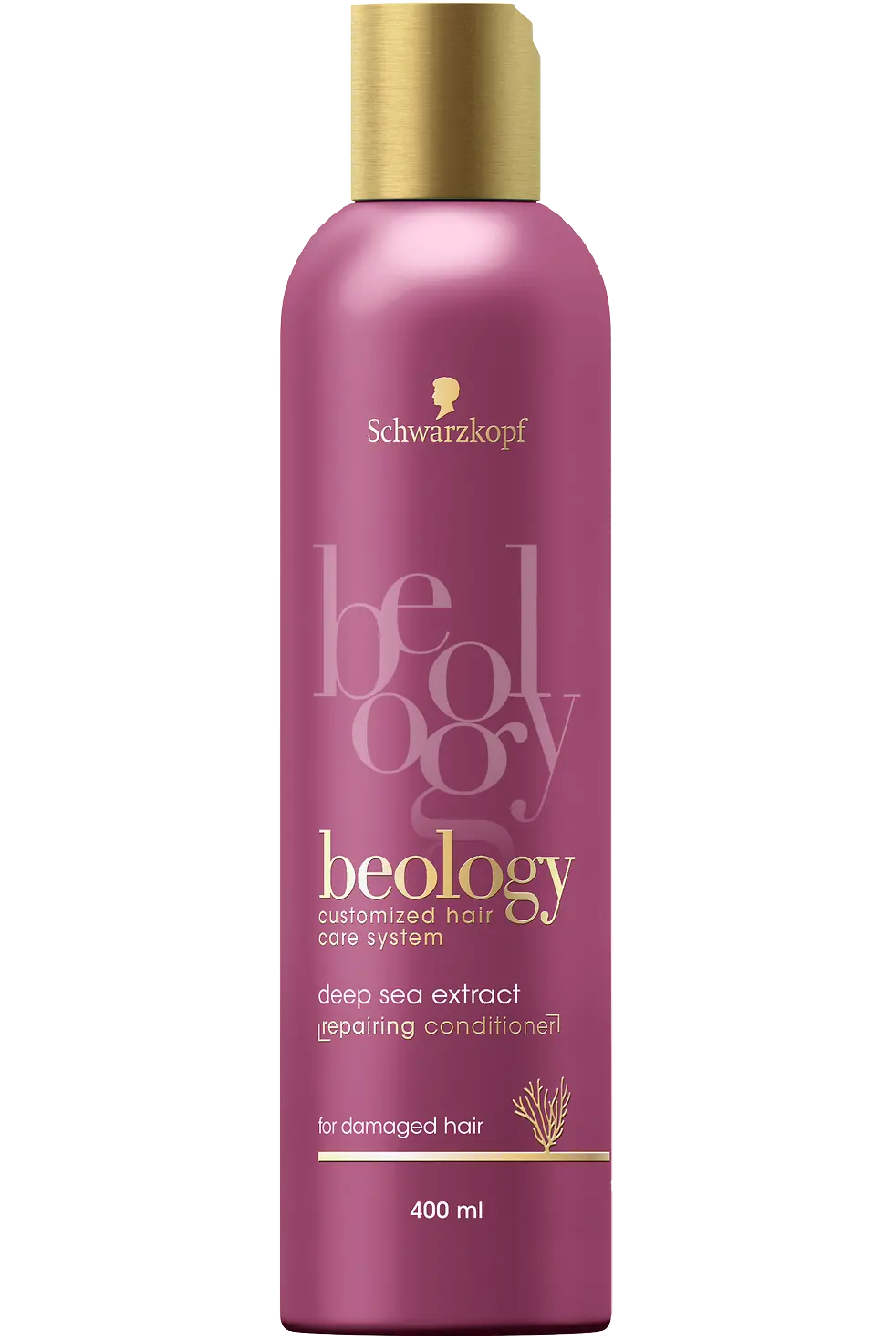 beology Repair kondicionér