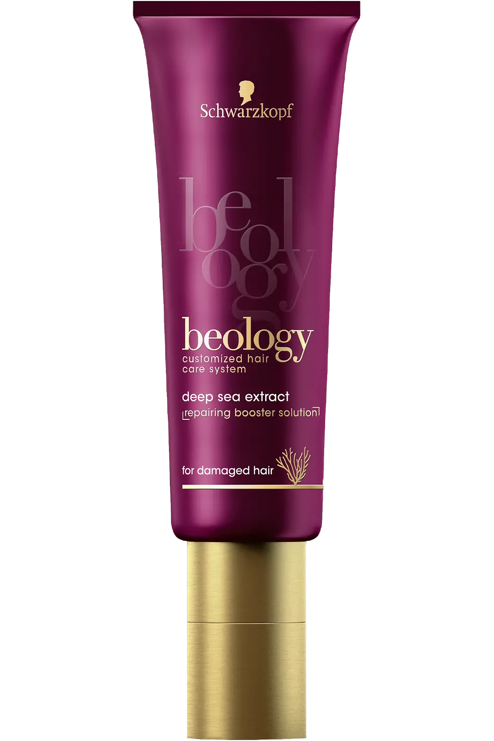 beology Repair Booster Solution