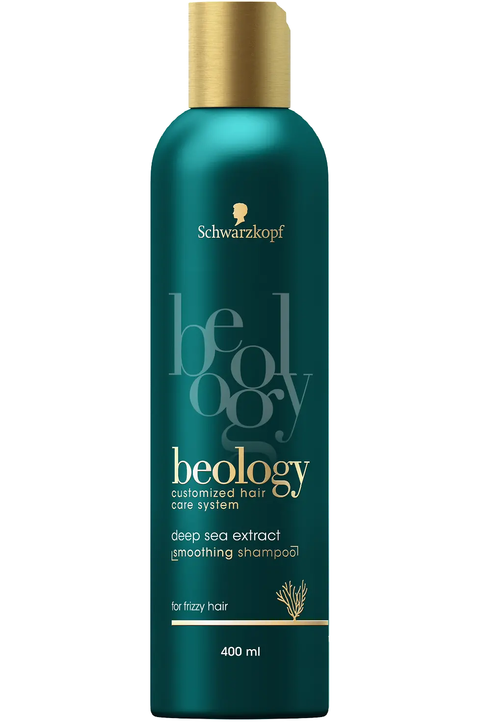 beology Smoothing šampón