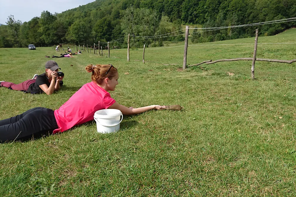 Kŕmenie sysľov na Muráni